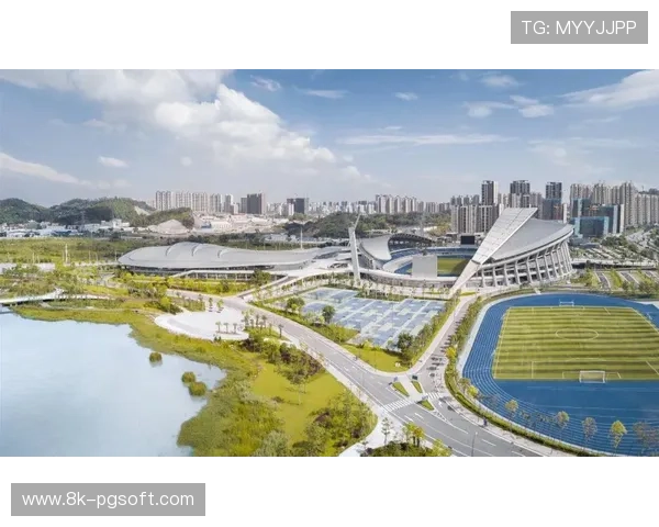 本季度体育内容供给体系正从单一赛事转向全龄段场景覆盖